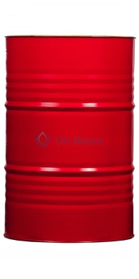 Shell 195-min.jpg